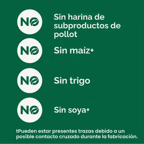 Vista 6 de Nutro Ultra High Protein - Alimento seco para perros mayores, pollo, cordero y salmón, 13 libras
