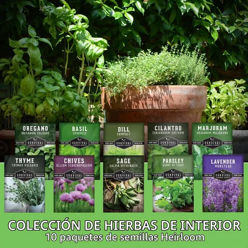 Vista 3 de 10 paquetes de semillas de hierbas culinarias para plantar - Survival