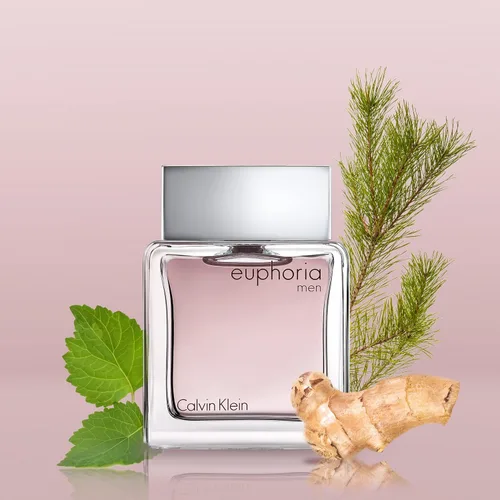 Vista 2 de Calvin Klein Euphoria para hombre Eau de Toilette