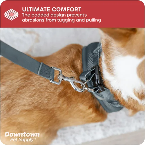 Vista 86 de Downtown Pet Supply Arnés para perro Step-in – Sin tirones, malla acolchada ajustable con ribete reflectante, correa de hebilla segura – Arnés