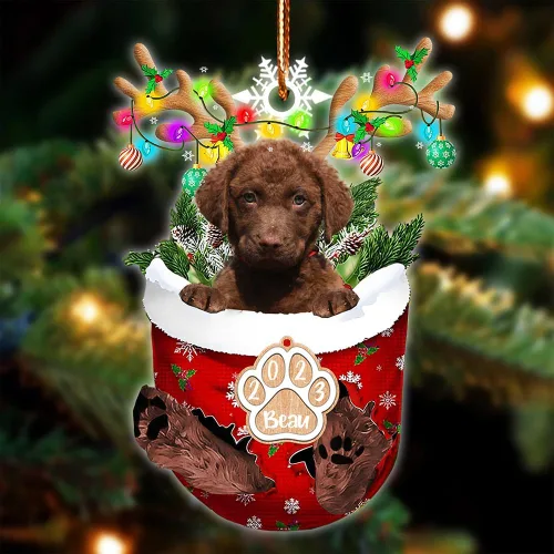 Vista 132 de NAZENTI Adorno Navideño de Bolsillo Personalizado de Affenpinscher en la Nieve, Adorno de Forma Acrílica de Perro, Adorno de Navidad 2023, Adorno
