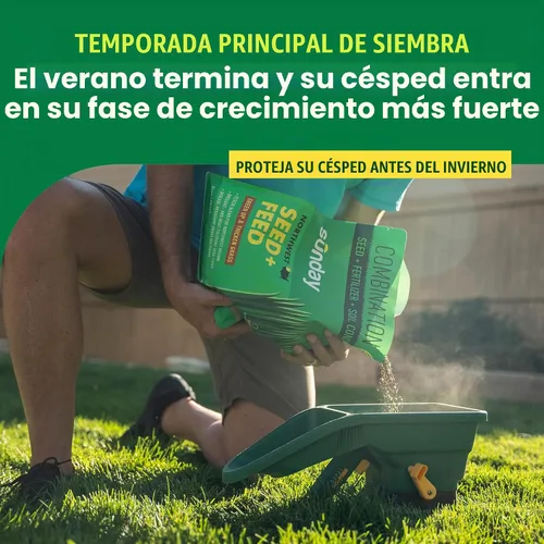 Vista 2 de Semillas y fertilizantes de hierba Sunday Northwest con festuca alta, sol