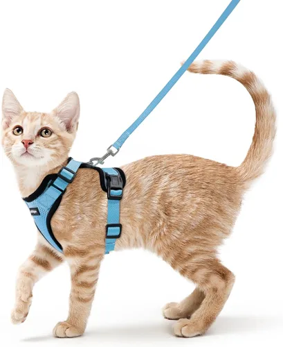 Vista 45 de rabbitgoo Cat Harness and Leash Set, Escape Proof Vest, XXS, Berry Pounce Soft Breathable Mesh, No-choke Adjustable Fit, Snap Buckles, Sturdy