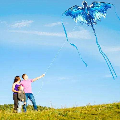 Vista 5 de Large Dragon Kite for Kids & Adults, Easy to Fly Outdoor Beach Park Kite