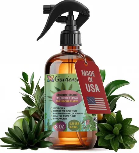 Vista 27 de GARDENERA Spray orgánico profesional de algas marinas para plantas AGLAONEMA – 8 oz – Rocío fertilizante de algas marinas y algas marinas totalmente