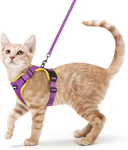 Vista 47 de rabbitgoo Cat Harness and Leash Set, Escape Proof Vest, XXS, Berry Pounce Soft Breathable Mesh, No-choke Adjustable Fit, Snap Buckles, Sturdy