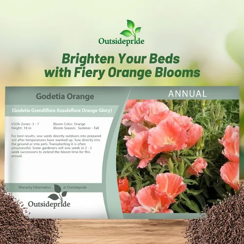 Vista 5 de Outsidepride 5000 semillas anuales Godetia Orange Glory Flower Seeds para plantar