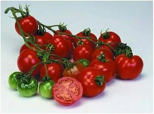 Vista 2 de Grappoli Corbarino Grape Tomate - Tomate de la antigua Italia!!!(10 - Semillas)
