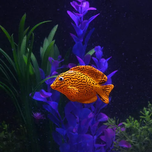 Vista 6 de GLOGLOW Peces luminosos, peces artificiales - 4 piezas para oficina, hogar, jardín acuario
