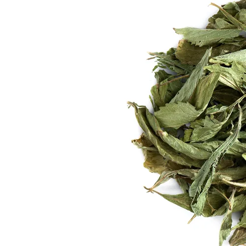Vista 7 de Hojas de stevia orgánicas secas - Hoja de estavia Hoja de Stevia Hojas secas de Stevia Hoja de Stevia Hoja de Stevia Orgánica