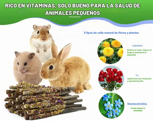 Vista 4 de Abizoo Juguetes masticables de conejito para conejos, 18 palitos de madera de manzana natural con pétalos, buenos para chinchillas, cobayas