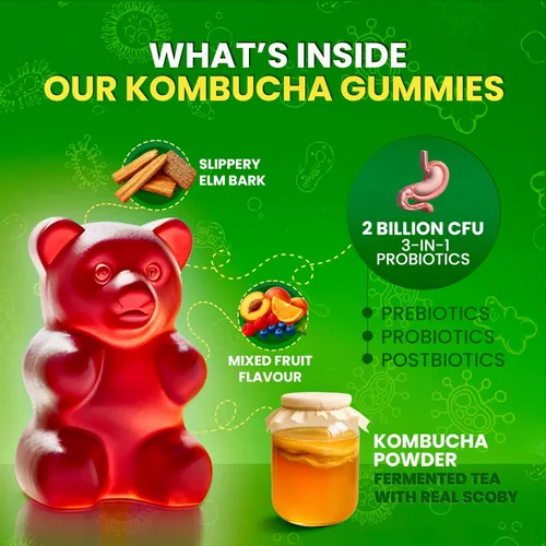 Vista 3 de BLIVA Gomitas probióticas de kombucha para hombres y mujeres - 60 gomitas Prebióticos, probióticos, postbióticos, corteza de olmo resbaladizo