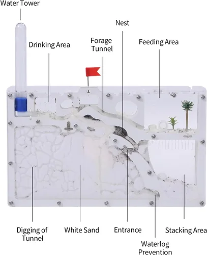 Vista 5 de NAVAdeal Sand Ant Farm Castle 2023 Habitat Kit educativo y de aprendizaje de ciencia de juguete para niños y adultos, estudio del ecosistema