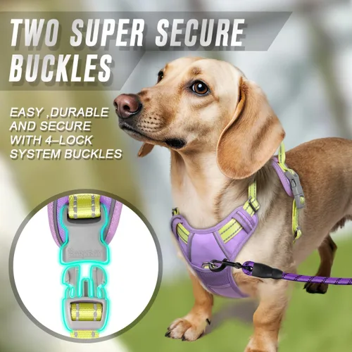 Vista 66 de BARKBAY - Arnés para perro sin tirones con clip frontal, material resistente y reflectante, asa de fácil control para pasear perros grandes