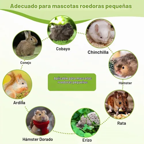 Vista 7 de 100 palitos de heno Timothy para conejos, cobayas, chinchillas, golosinas masticables para masticar, hierba Timothy natural, dientes molares