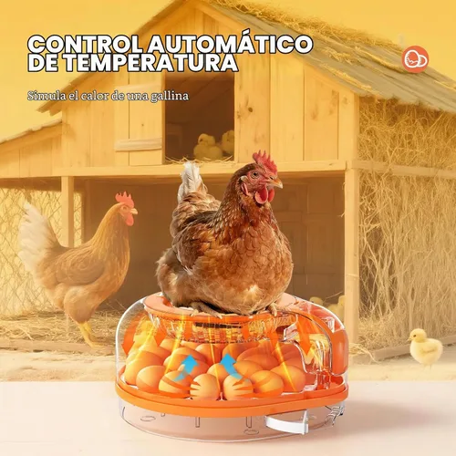 Vista 5 de Incubadora de 26 huevos para incubar huevos, giro automático, control de naranja blanco