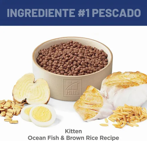 Vista 4 de Hill's Science Diet Comida seca para gatos de fórmula para gatitos