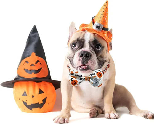 Vista 4 de Paquete de 2 collares de perro de Halloween con corbatín, linterna de Navidad y collar de calabaza para perros pequeños, medianos y grandes