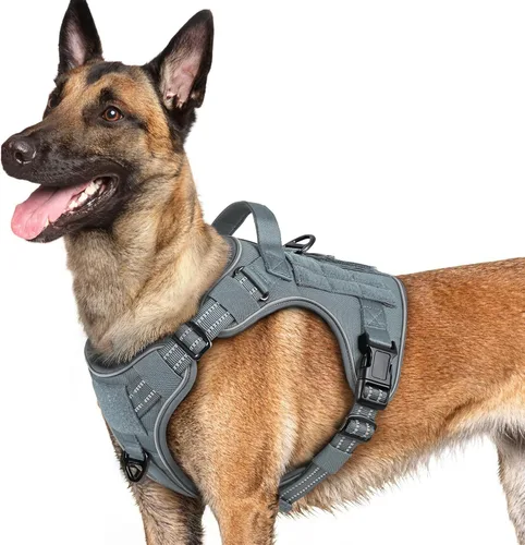 Vista 52 de rabbitgoo - Arnés para perros pequeño sin tirones, chaleco táctico de servicio con Molle y asa de control, arnés militar ajustable y reflectante