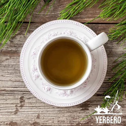 Vista 3 de Yerbero - Cola De Caballo 1LB (16.08 oz) Té de hierbas sueltas enteras de cola de caballo Hierba de afeitado/hierba de serpiente Bolsa