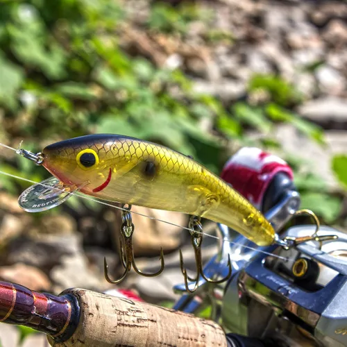Vista 4 de Cotton Cordell Ripplin' Red Fin Crankbait - Señuelo de pesca, 4 1/2 pulgadas, 3/8 onzas