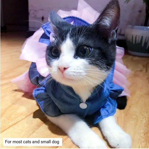 Vista 73 de ANIAC Daisy Vestidos para Perros Pequeños Hembra con Anillo para Correa, Nudo de Lazo Vestido de Boda para Cachorra, Traje de Gato de San Valentín