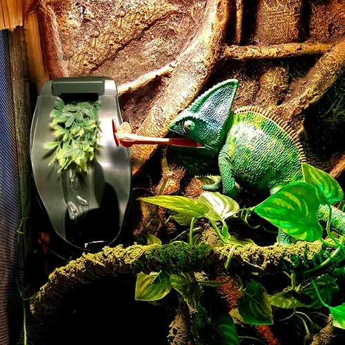Vista 6 de Fuente de agua para beber, camaleón, cantina, reptil, viene con pinzas de alimentación y pinzas esmeriladas para lagarto, tortuga, serpiente, araña