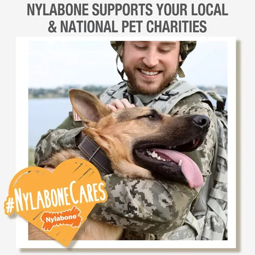Vista 9 de Nylabone Nutri Dent Dog Dental Chews - Limpieza natural de dientes y ambientador de aliento - Golosinas dentales para perros - Sabor Filet Mignon