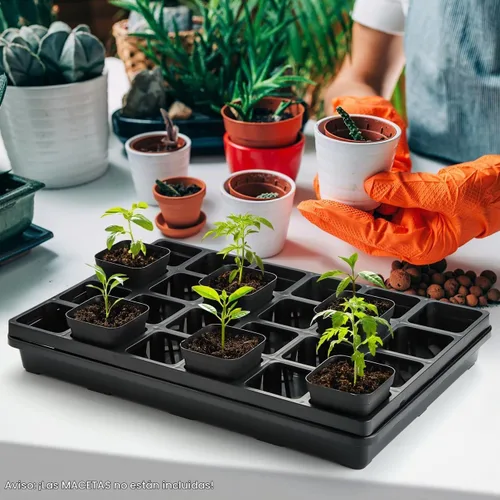 Vista 6 de RooTrimmer Bandejas para Macetas de Vivero de 24 Celdas (17"x11"x2") con Bandejas Planas de Plástico para Semillas, Bandeja Portátil Duradera