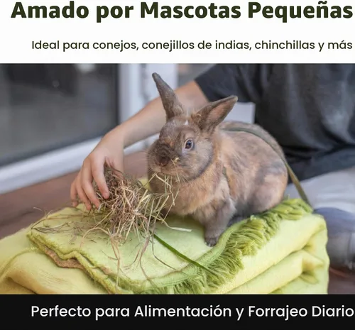 Vista 4 de High Desert - Heno Timothy de primera corte para conejos, cobayas, mascotas pequeñas, 4 libras