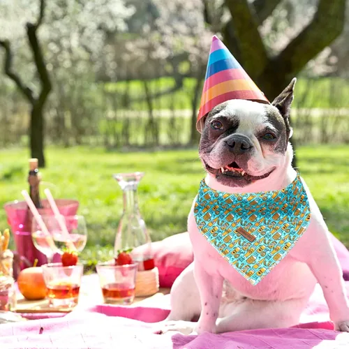 Vista 6 de Lionheart Glory Bandana para perro, bufanda azul para perro, estampado de cerveza, ajustable para perros pequeños a grandes