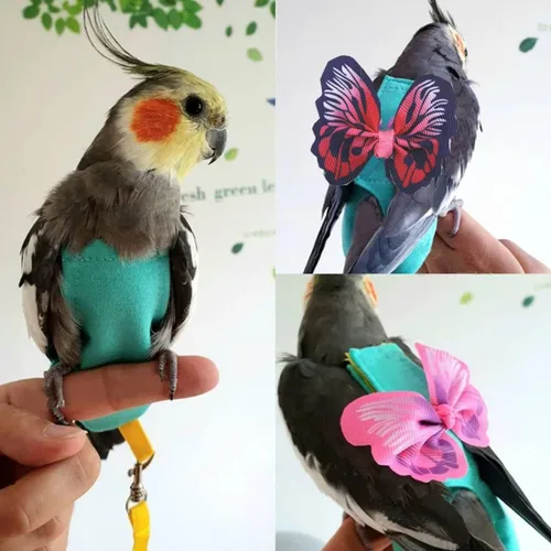 Vista 5 de Arnés de 2 piezas para pañales para pájaros con forro impermeable, ropa para pañales para pájaros con correa voladora, cuerda protectora para loros