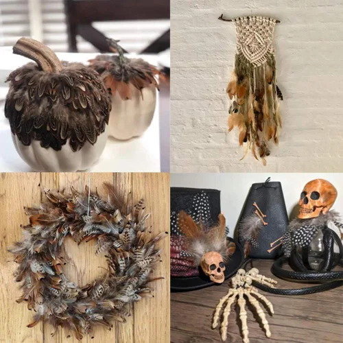 Vista 6 de Ballinger - Plumas naturales surtidas para manualidades, 180 unidades, 9 estilos Small Real Pheasant Bird Feathers for DIY Crafting,Jewelry,Dream
