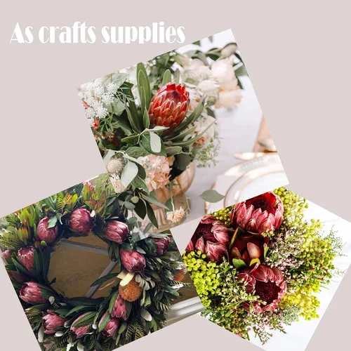 Vista 6 de 4 capullos artificiales de Protea de 26 pulgadas, tallo súper largo, brote artificial de Protea de seda para decoración del hogar, centro de mesa