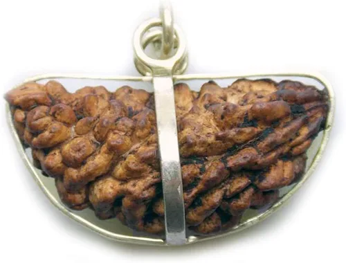 Vista 2 de 55Carat Elige tu colgante original certificado en laboratorio Rudraksha 1 a 13 Mukhi Ganesha Gauri Shankar chapado en plata, joyería astrológica