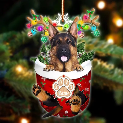 Vista 55 de NAZENTI Adorno Navideño de Bolsillo Personalizado de Affenpinscher en la Nieve, Adorno de Forma Acrílica de Perro, Adorno de Navidad 2023, Adorno