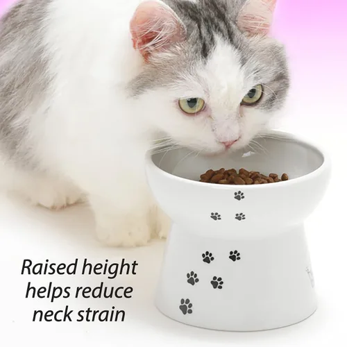 Vista 6 de Necoichi Cuenco elevado de comida para gatos sin estrés, elevado, prevención de reflujo, apto para lavavajillas y microondas, vendedor número 1