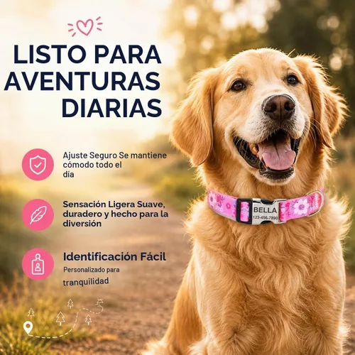 Vista 7 de Collares de perro personalizados con placa de identificación grabada con número de teléfono, collares ajustables coloridos para perros macho