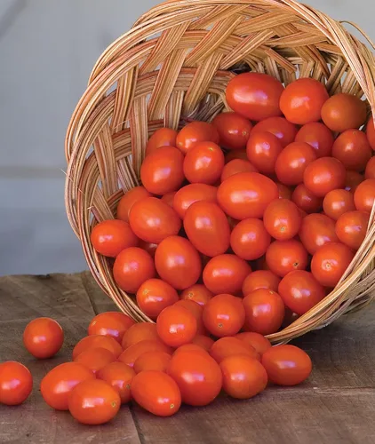 Vista 5 de Burpee Napa Grape - Semillas de tomates uva, 30 semillas