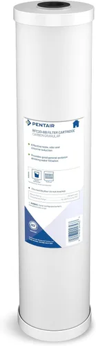 Vista 7 de Pentair Pentek RFC-BB Filtro de Agua de Carbón Big Blue, 10 Pulgadas, Cartucho de Repuesto de Carbón de Flujo Radial de Servicio Pesado para Toda