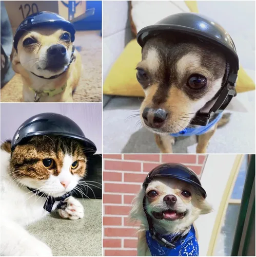 Vista 2 de Enjoying - Casco para perros pequeños, casco para perros pequeños, cascos para perros pequeños, cascos para perros pequeños, gatos, viajes Negro