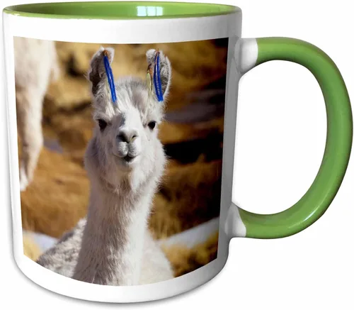 Vista 11 de 3dRose Taza de café, tamaño - 15oz - Argentina, Santa Rosa de los Pastos Grandes, llama - SA01 JRI0222 - Jutta Riegel Llamas - divertida taza