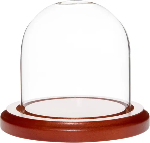 Vista 4 de Plymor 3 "x 3" Pantalla de cristal Dome Cloche (base de chapa de roble)