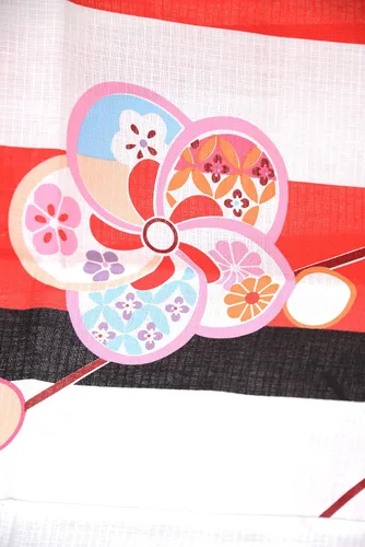 Vista 5 de Kimura Jitsugyo Bata Yukata Kawaii Tradicional de Kyoto para Mujer de Fácil Uso (Kimono Casual Japonés) Set 2 Albaricoque