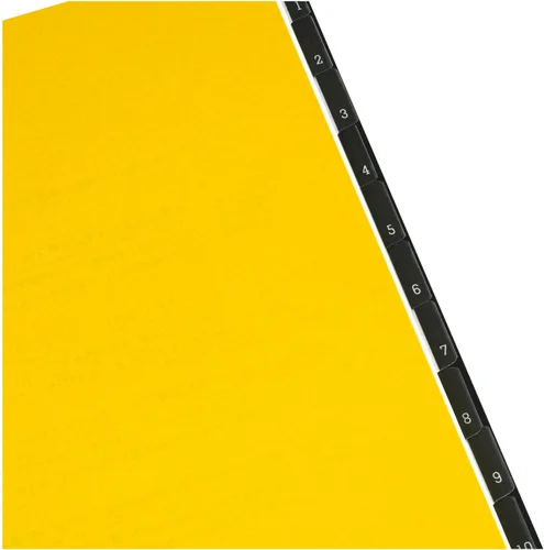 Vista 3 de Maruman - Mnemosyne - Agenda mensual 2024, con pestañas, 8.27 x 5.83 pulgadas (A5), 1 c/u (MND283-24)