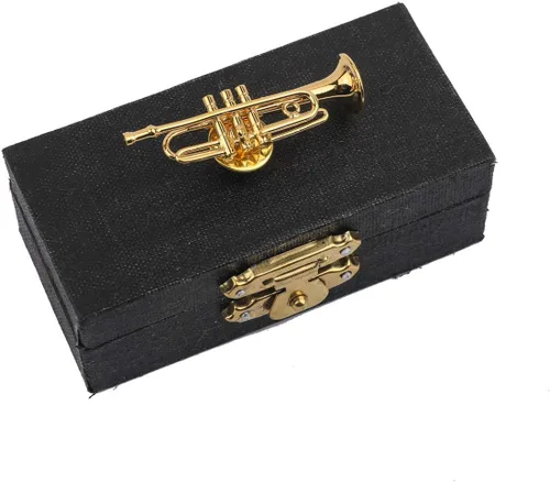 Vista 2 de Dselvgvu - Broche de solapa para instrumento musical en miniatura, con funda de terciopelo rojo, regalo de cumpleaños