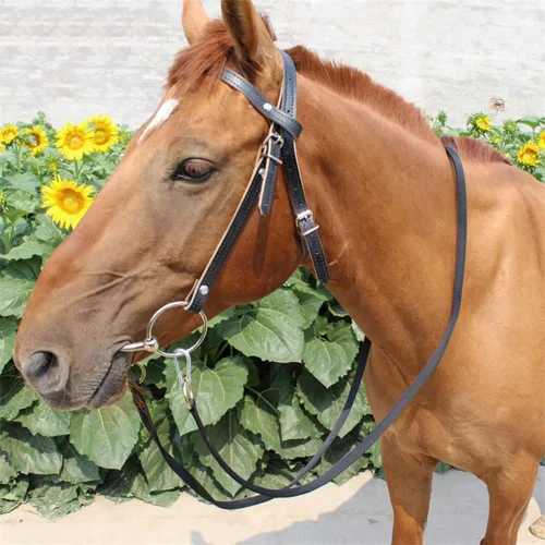 Vista 5 de Brida de cuero para caballos, bridas ajustables para caballos con puntas y riendas de cuero desmontables
