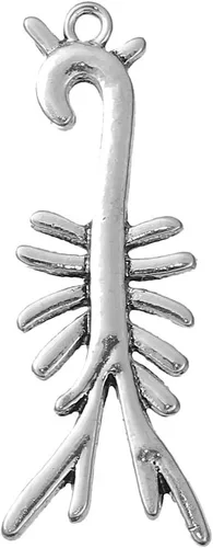 Vista 14 de Sexy Sparkles Medical Anatomical 3D Charm Pendant – Unisex Accessory for Necklaces, Bracelets, and Keychains