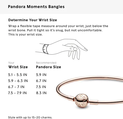 Vista 8 de PANDORA Jewelry Moments Bangle Charm Bracelet