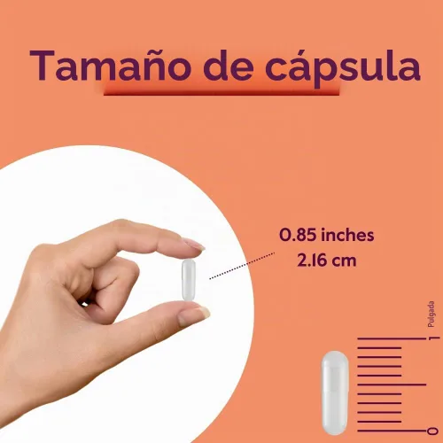 Vista 4 de BESTVITE L-Prolina 500mg (120 cápsulas vegetales) - Sin estearatos - Sin